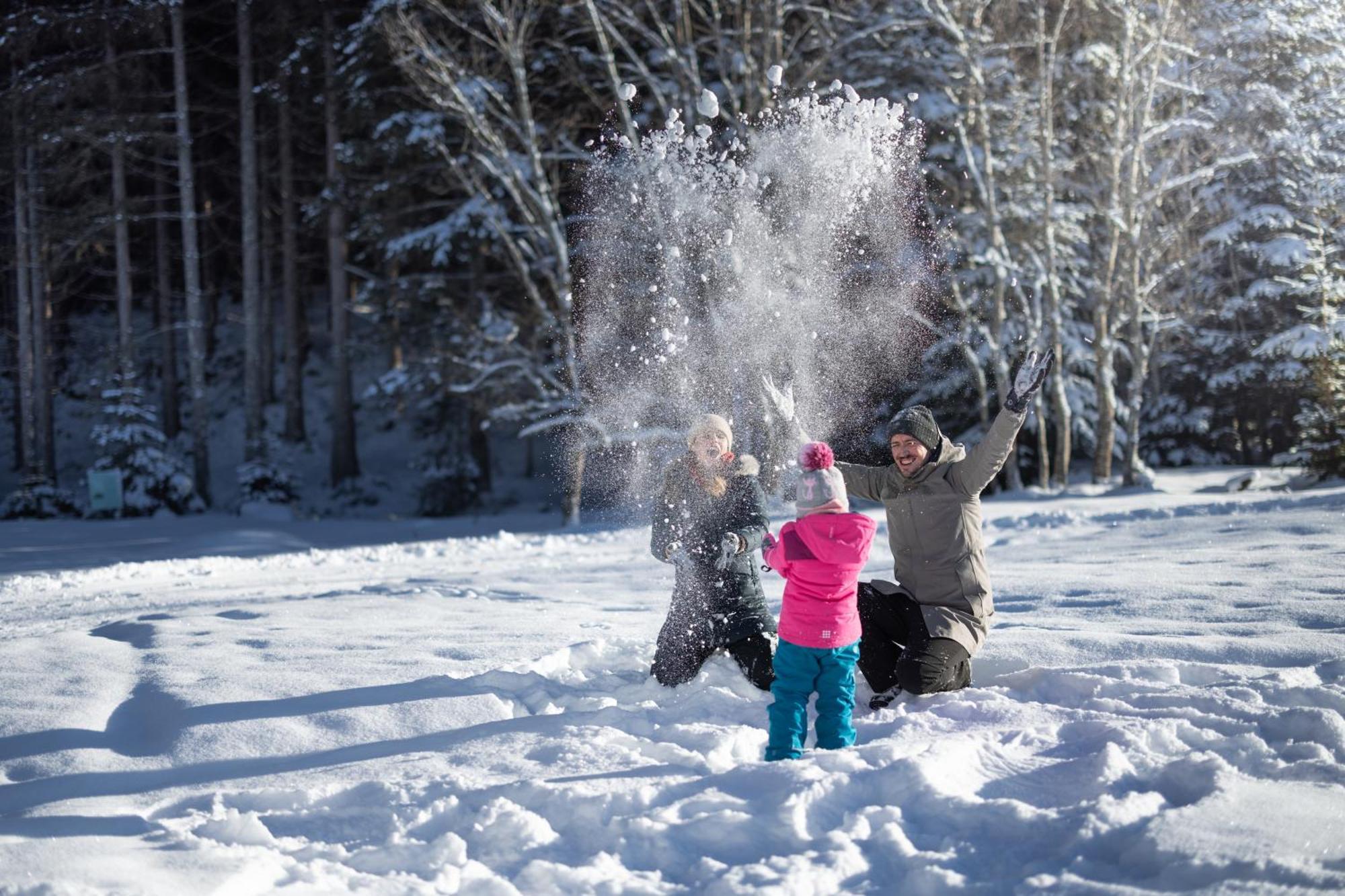 Feriengut Ottacherhof - Active Family Holiday In Central Hollersbach Hollersbach im Pinzgau Exteriör bild